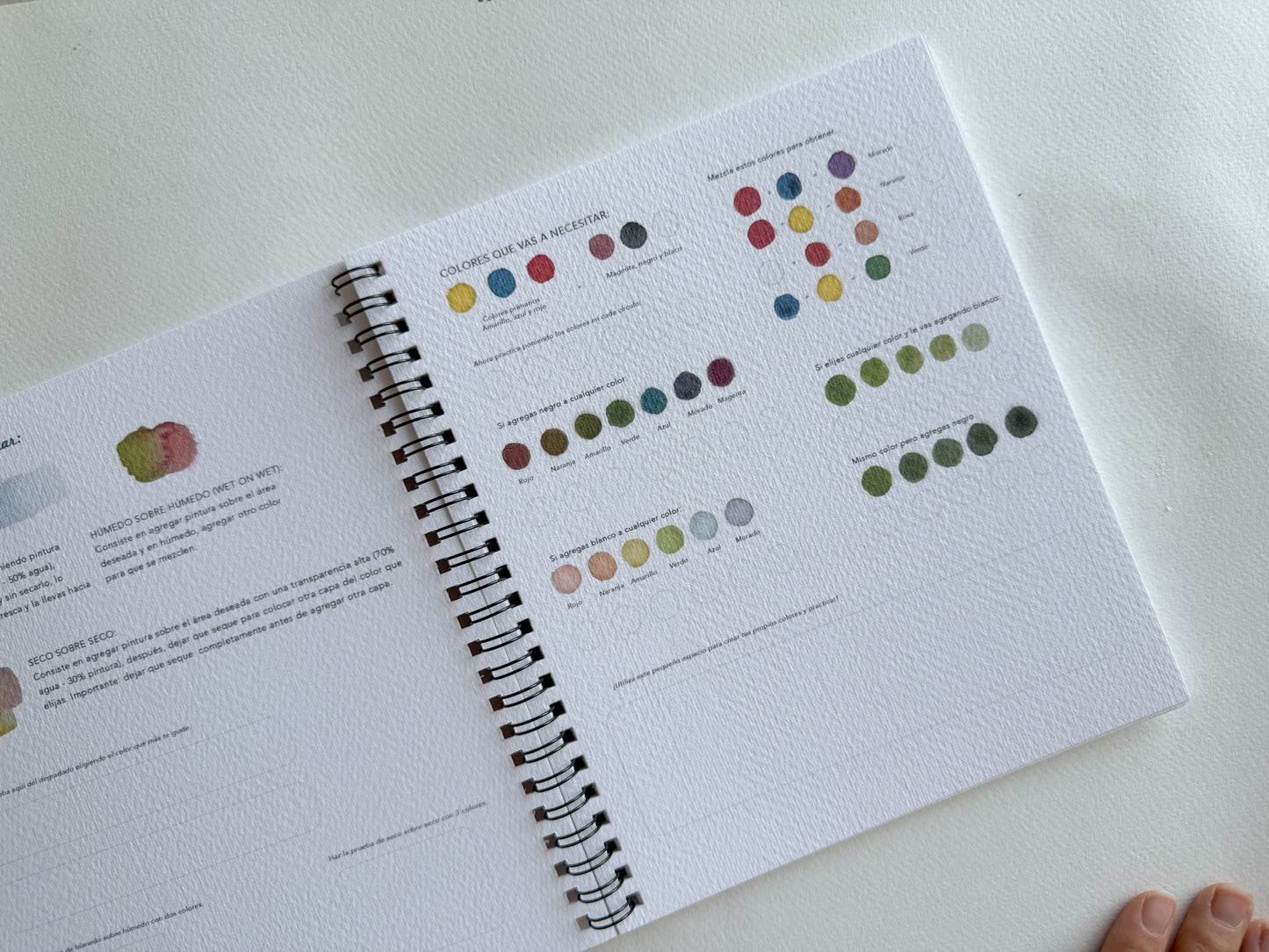 Kit 8 | The complete sketchbooks (4 sketchbooks)