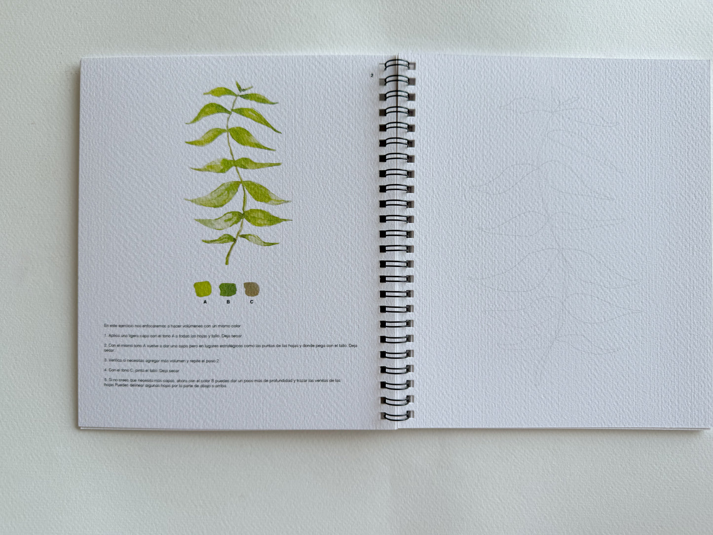 Sketchbook de acuarela: Botánico