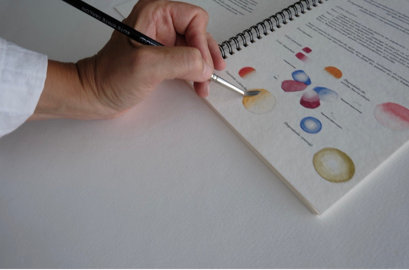 Sketchbook Bichos
