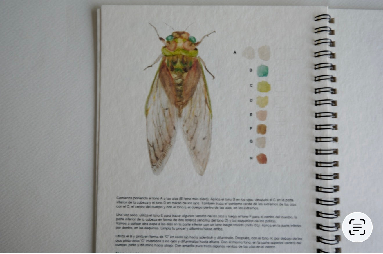 Sketchbook Bichos