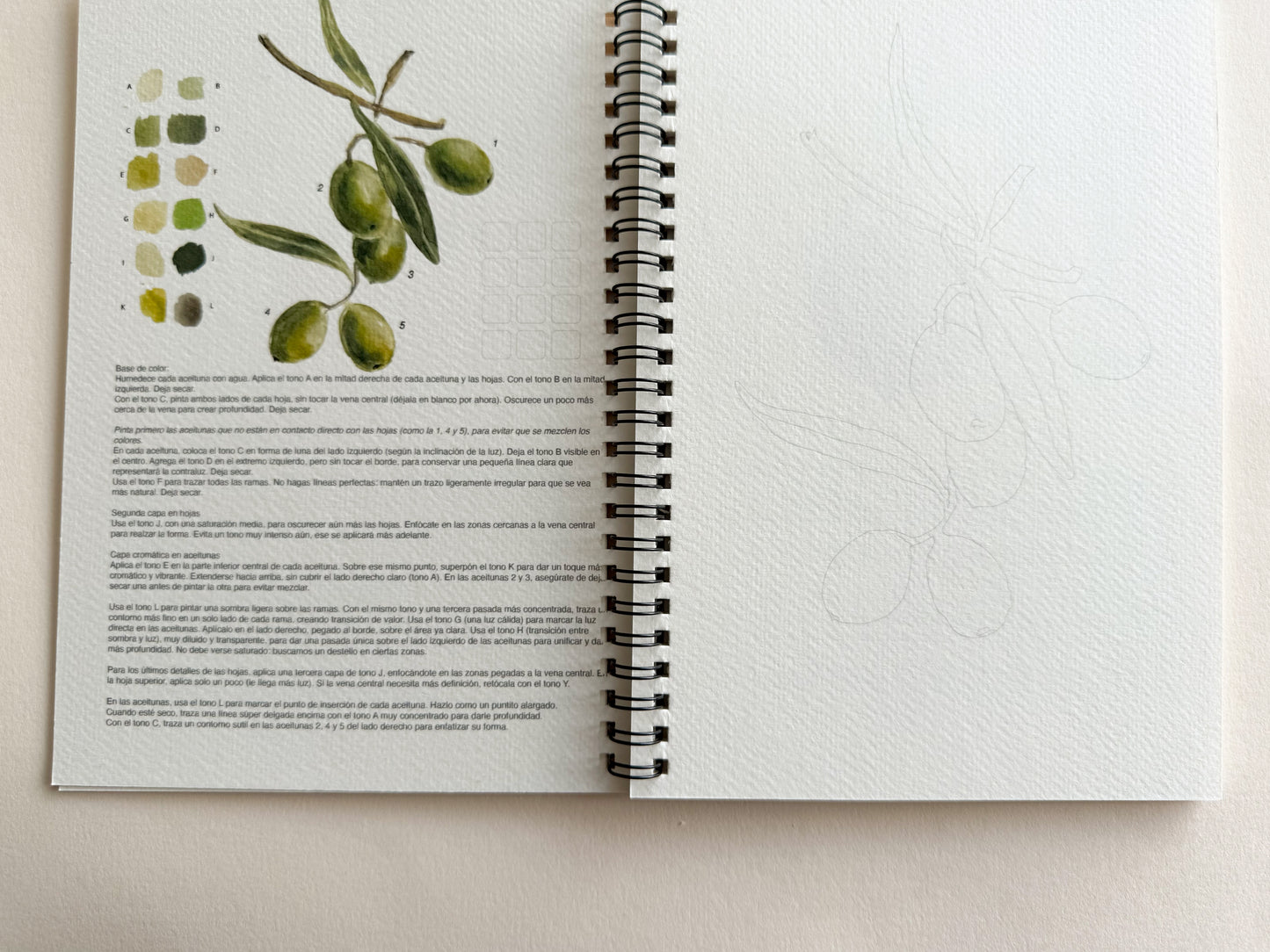 Sketchbook Frutas & Verduras II