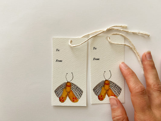 Tarjetas de mariposa