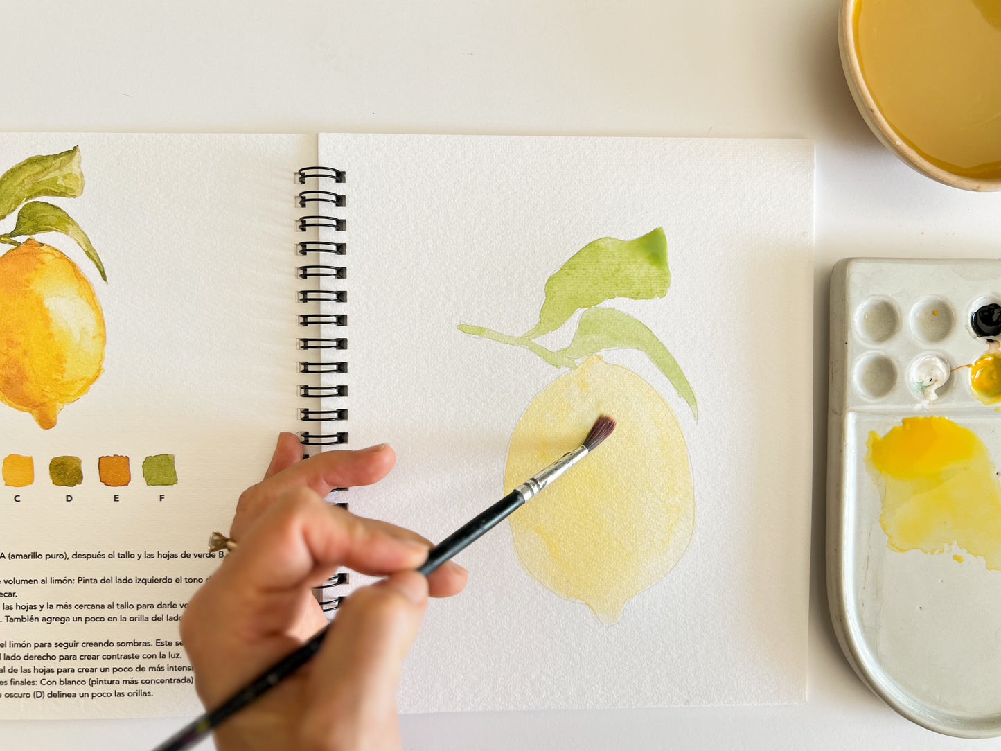 Sketchbook de acuarela: Frutas & verduras