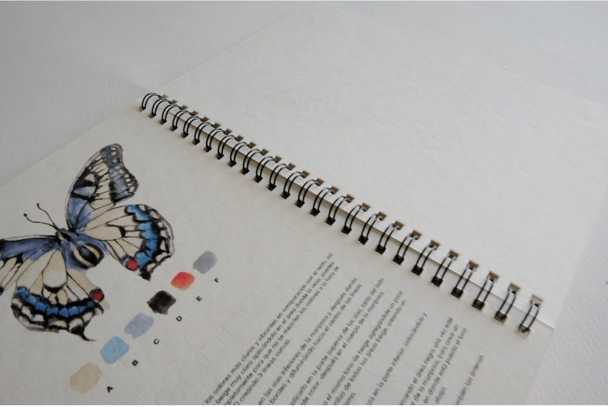 Sketchbook Bichos