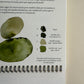 Sketchbook creativo/Principios del acuarela