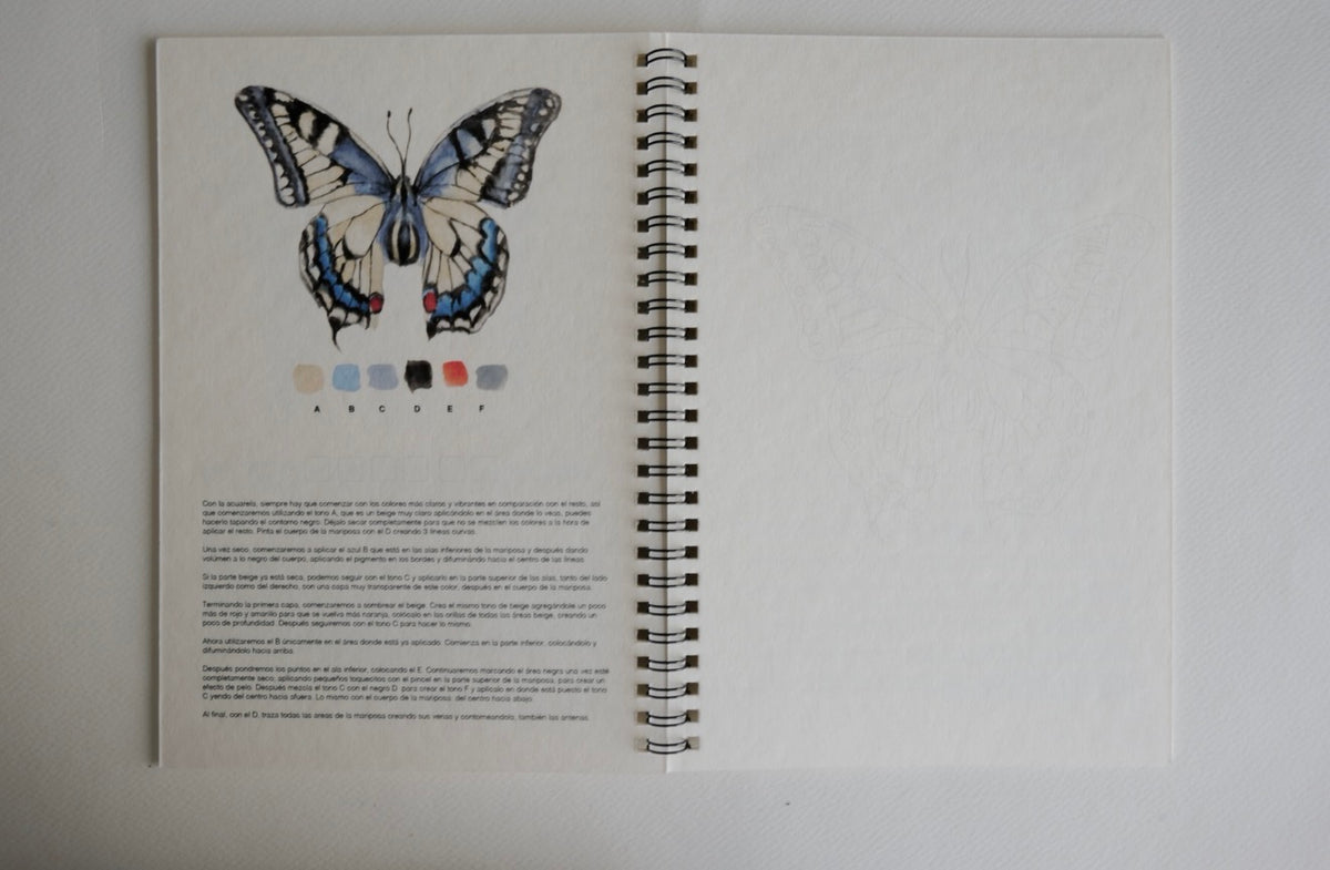 Sketchbook Bichos