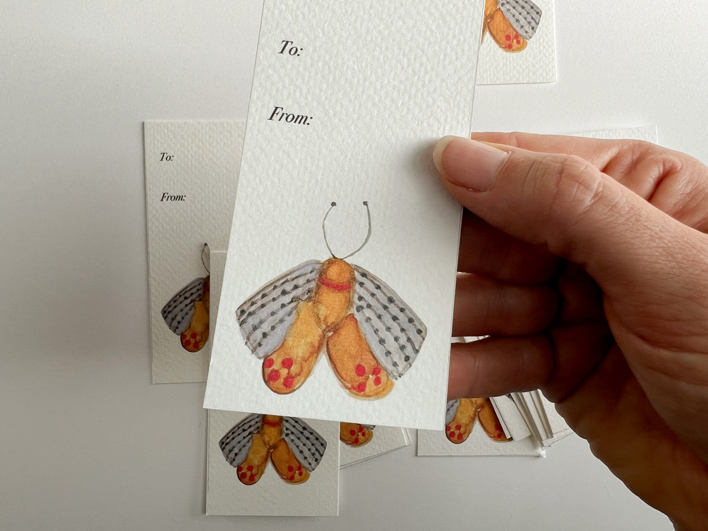 Tarjetas de mariposa