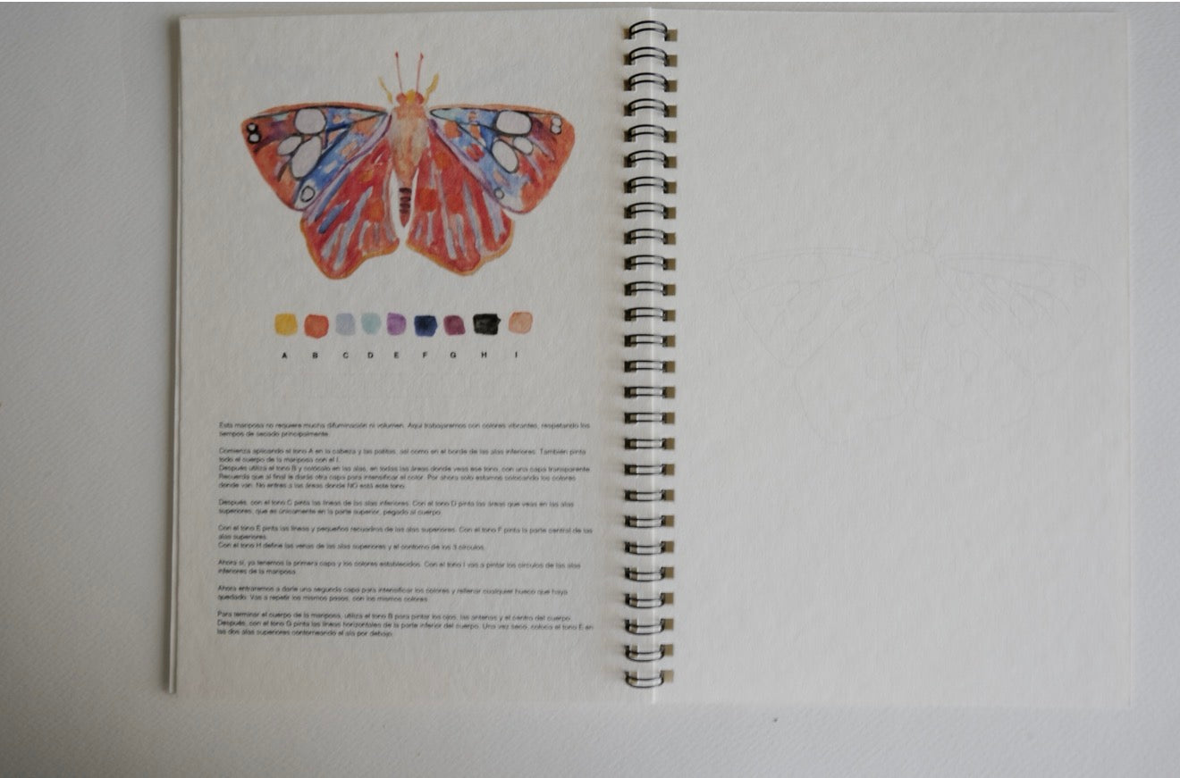 Sketchbook Bichos