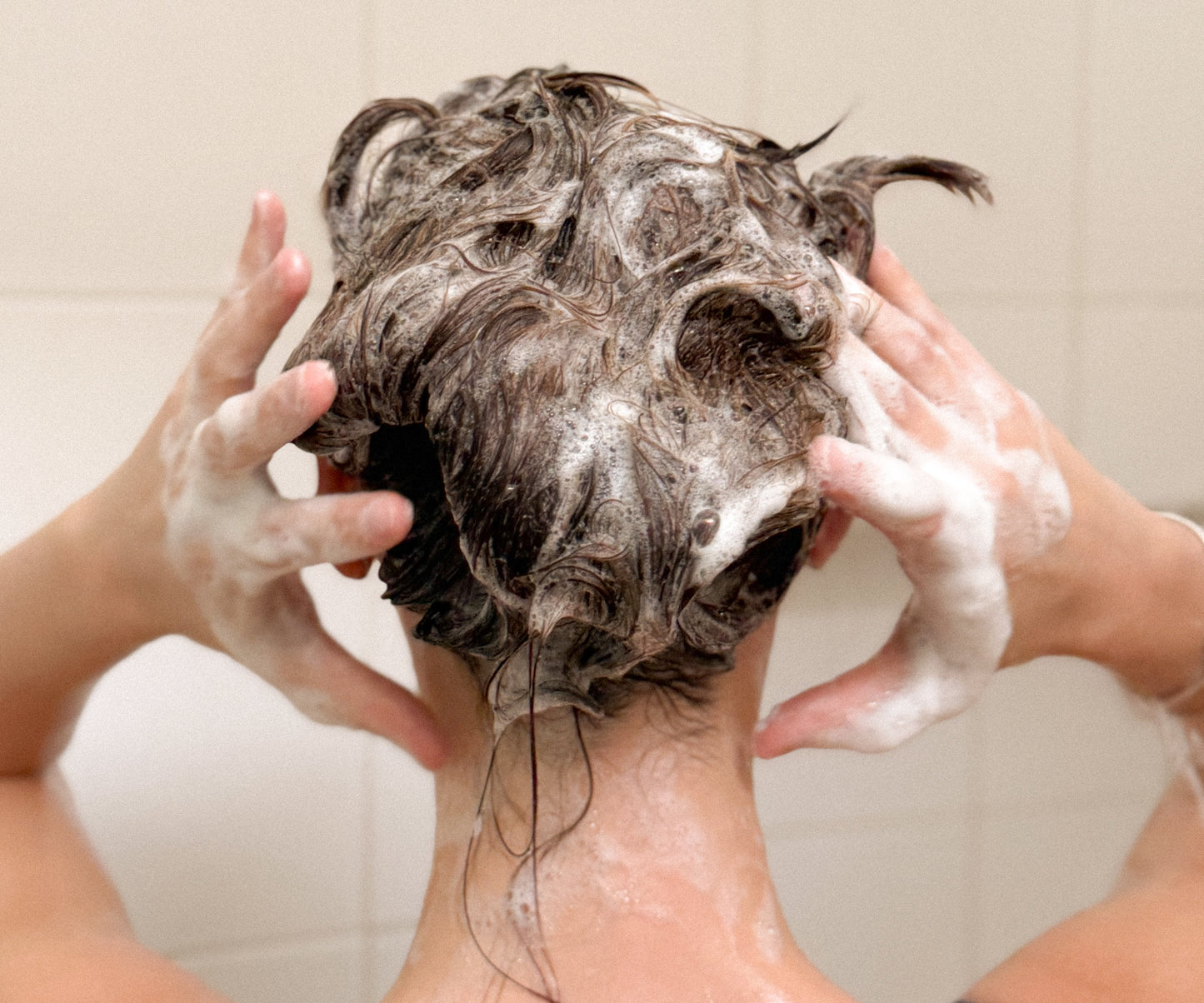 Shampoo sólido