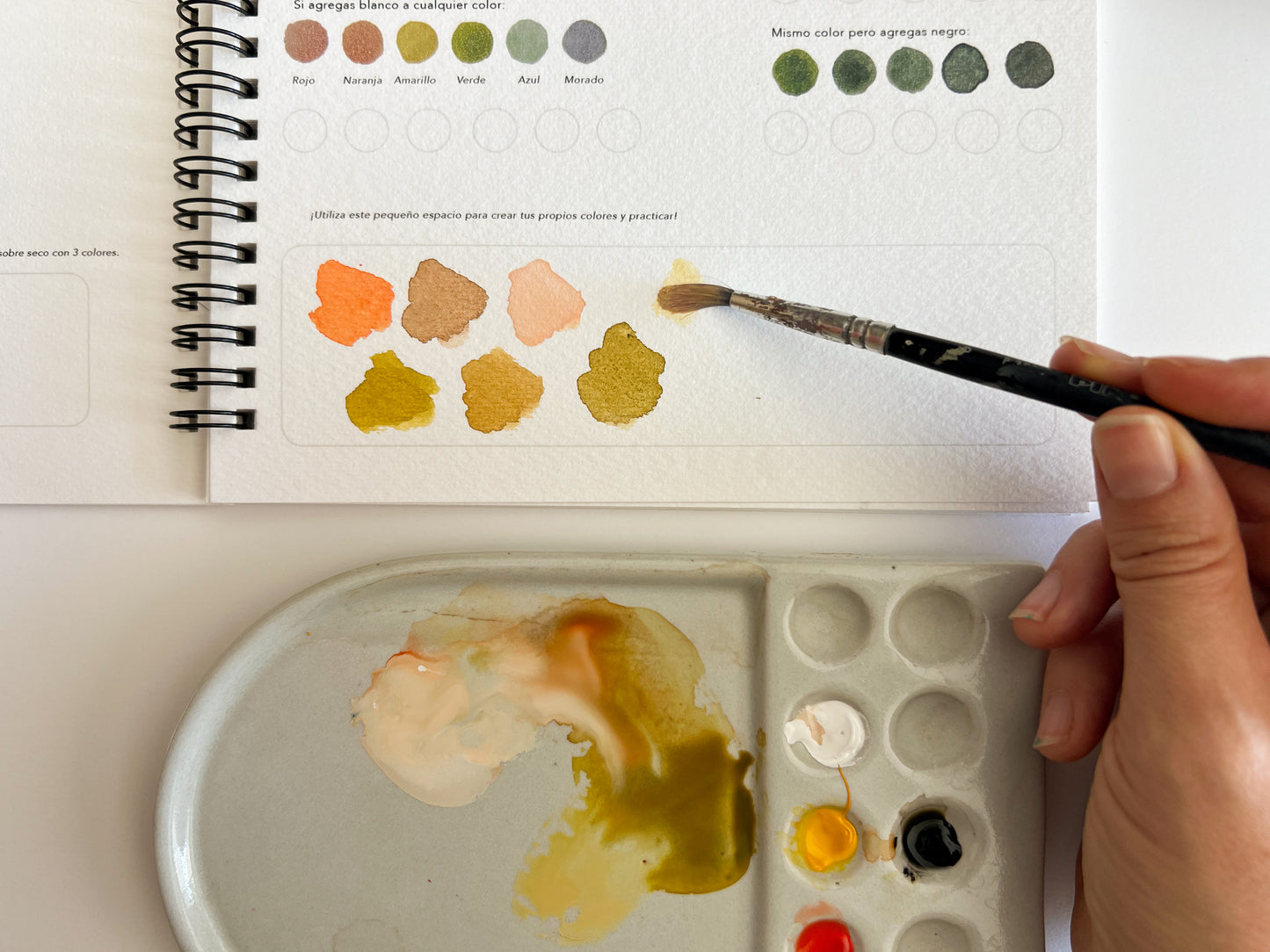 Sketchbook de acuarela: Frutas & verduras