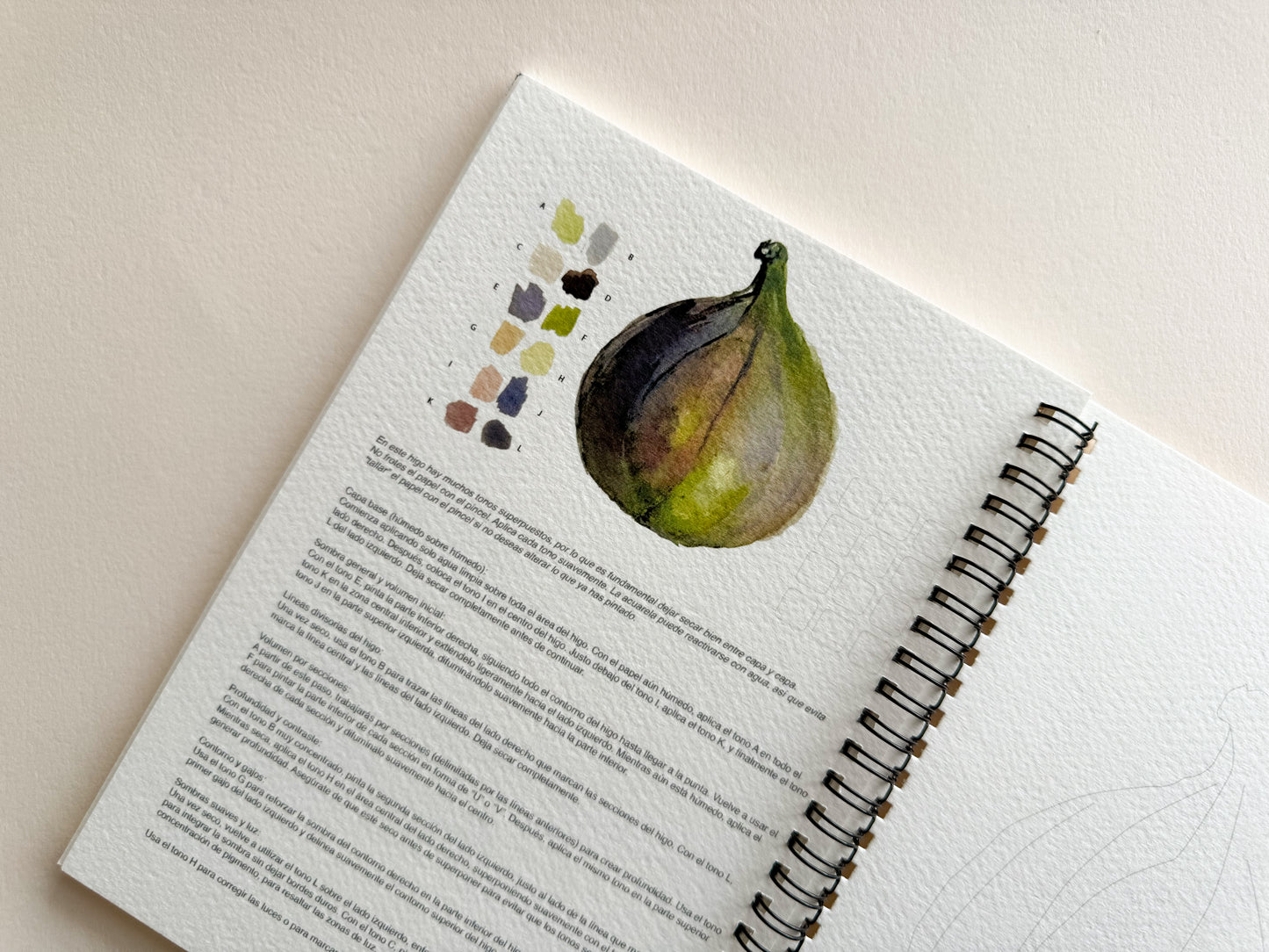 Sketchbook Frutas & Verduras II