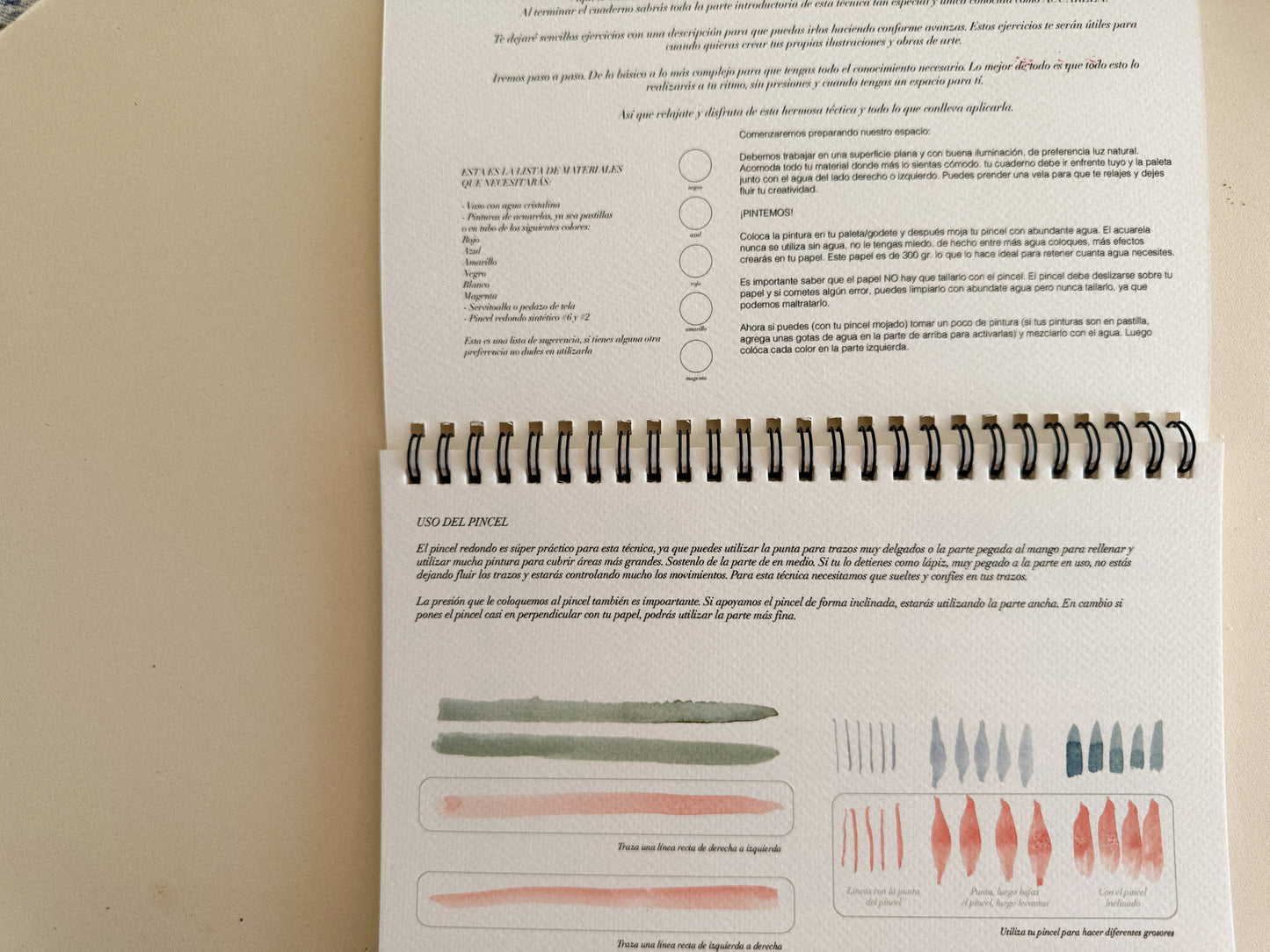 Sketchbook creativo/Principios del acuarela