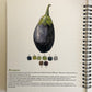 Sketchbook de acuarela: Frutas & verduras